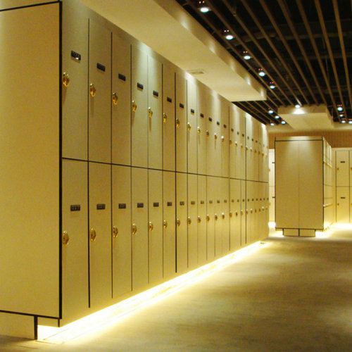 Combination color dressing room waterproof locker
