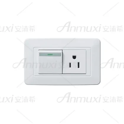 Electric One Switch Gang Socket