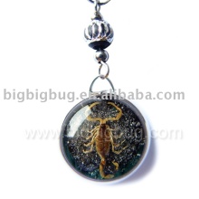 Insect amber mobile phone charm-www.bigbigbug.com