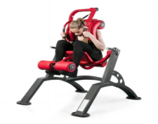 abdominal curl machine abdominal crunch plate loaded machine