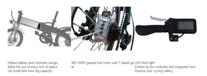 high quality cheap price qicycle folding electric bicycle