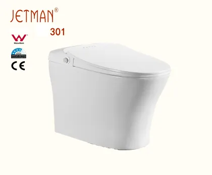 smart toilet one piece bidge toilet