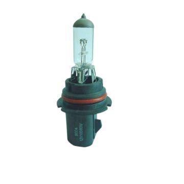 European Technology Halogen Headlight Bulbs