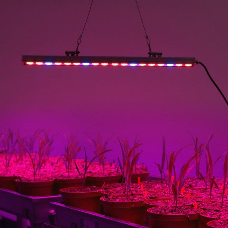 Hydroponic LED Grow Light Strip