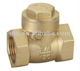 swing check valve