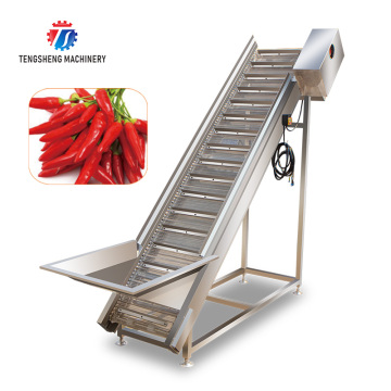 Customized Vegetable and Fruit Food Grade Belt Conveyors: Mango Apple Orange Elevator Conveyor