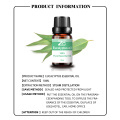O óleo essencial de eucalipto natural 100% puro para massagem