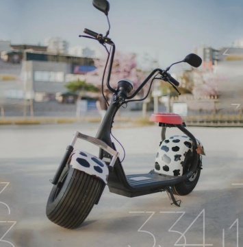 США/Европейский склад - 18 -дюймовая шина CityCoco Scooter Scooter | Fat Tire Electric Scooter 800W-2000 Вт дешево
