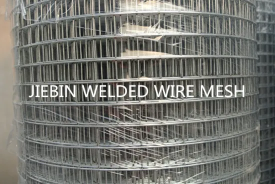 Electro Galvanized Welded Wire Mesh