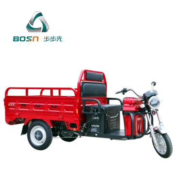 adult cargo tricycle