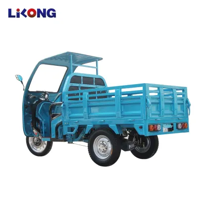 EEC Certified Safety Electric Truck for Family Use