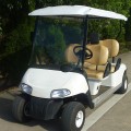 Wholsale personalizar 4 asientos de carrito de golf popular