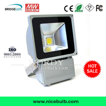 Low Delay Warranty 5 Year LED Flood Light