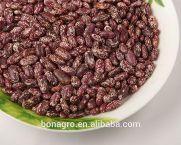 2013 new crop Purple speckled kidney bean