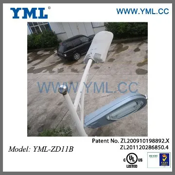Cobrahead street induction light