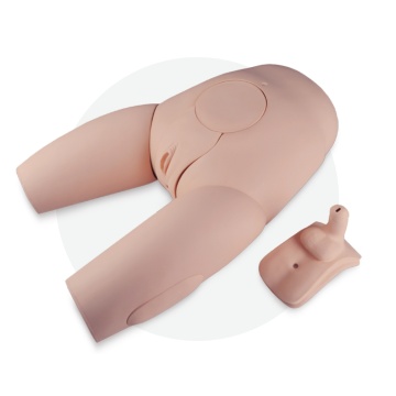 Gender Exchangeable Catheterization Model