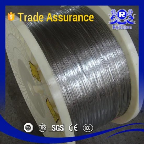 SUS/AISI 202 304L 316L 410 Thin Stainless Steel Wire