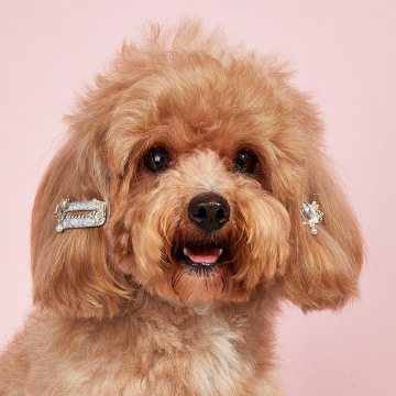Canoidea Pet Dog Accessories: Bowknots, Tiaras και πολλά άλλα