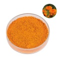 مستخلص زهرة MARIGOLD الطبيعي لسلطة العيون