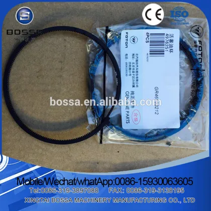 Genuine Foton truck body parts logo