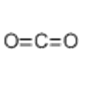 Kooldioxide CAS 124-38-9