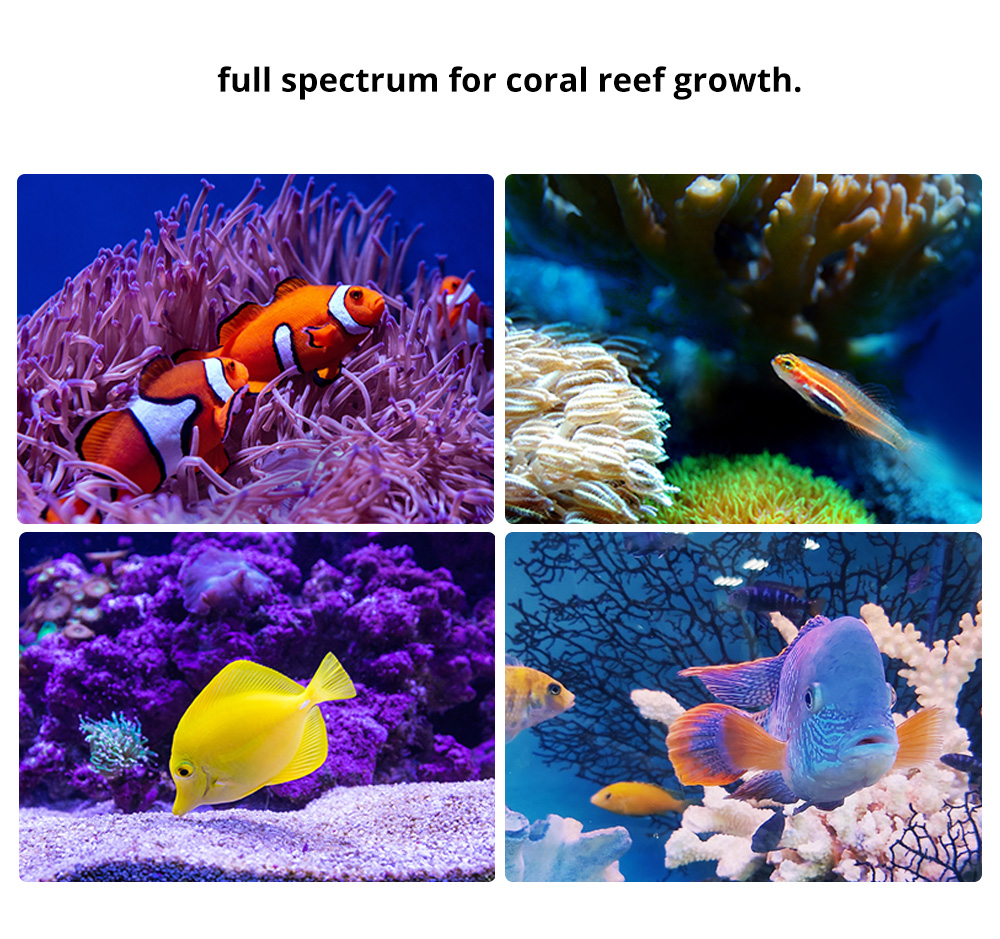 Led Aquarium Light For Coral Reef