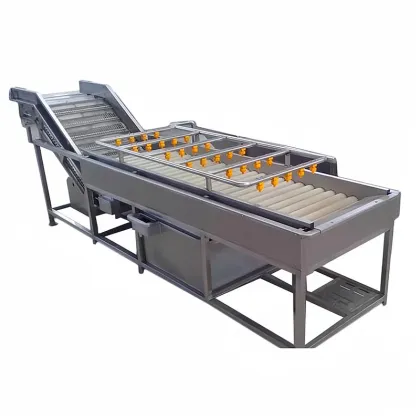 Industrial Washing Machines for Cleaning Fruits, Olives, Cherries, Vegetables, and Potatoes