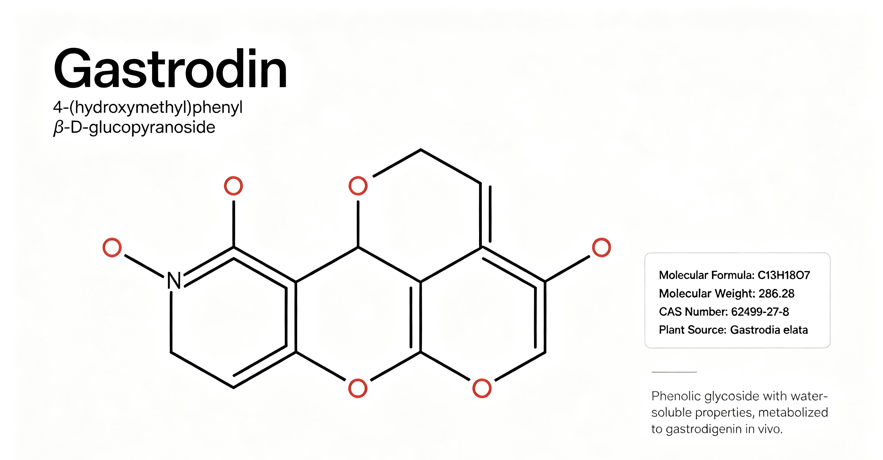 What Is Gastrodin