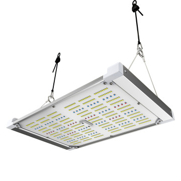 Kwantowe światła uprawy: Pełny widmo IR LM301B Dimmable Plant Bar - 480 W/240 W Czarny