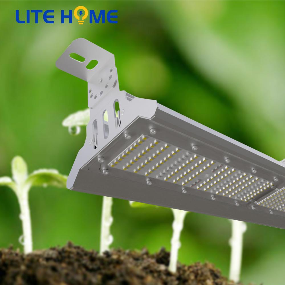 led plant light