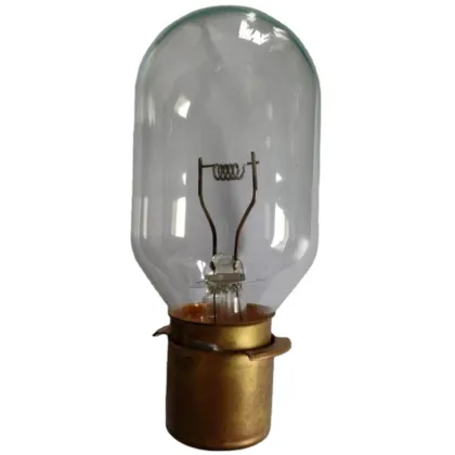 Sphericity Glass Incandescent Tube Train Lighting Bulbs 50V 500W