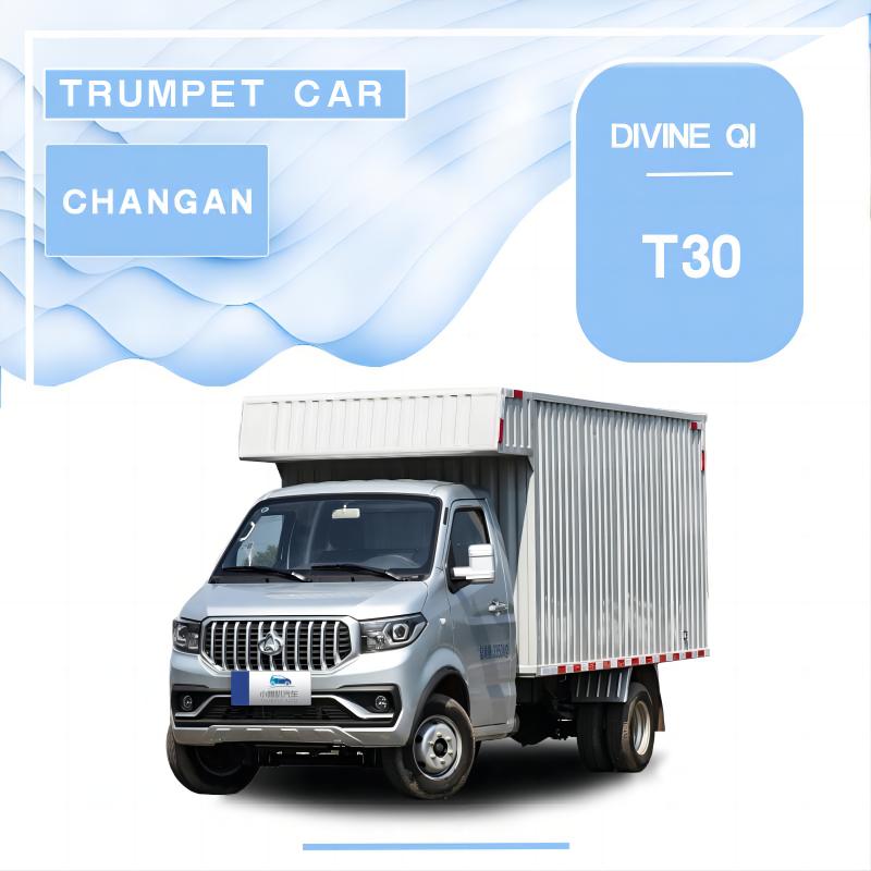 Shenqi T30 Composite Panel Cargo