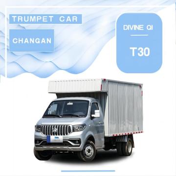 Shenqi T30 composite panel cargo