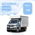 Shenqi T30 Composite Panel Cargo