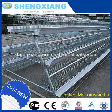 uganda poultry farm automatic chicken layer cage