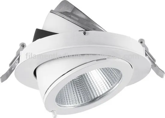 CE RoHS Angle Adjustable 30W COB LED Downlight For Shops