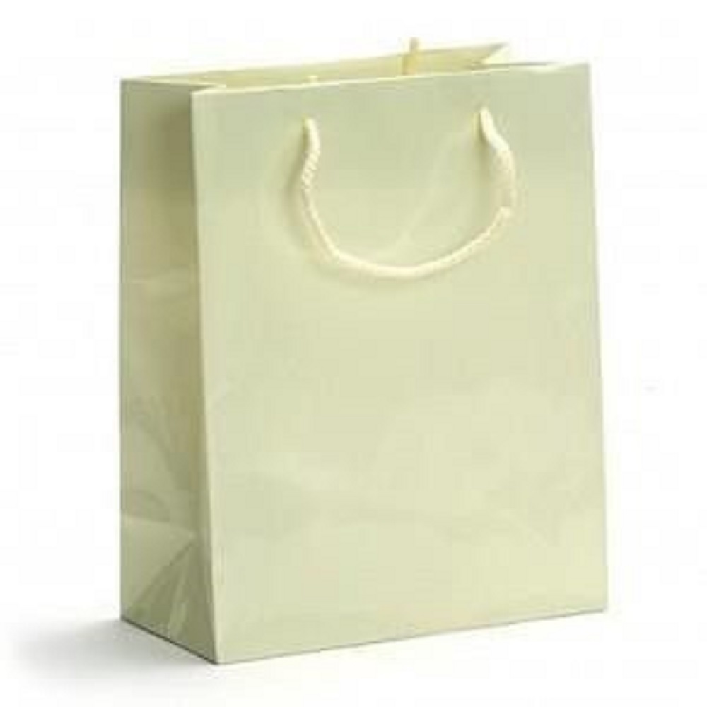 Professional Printed Paper Bags