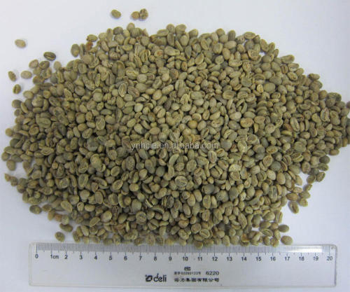 polished grade B arabica green coffee beans