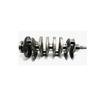 ALTATEC Crankshaft 12578182 4802769 for Engine Models 1E 2E 3E 4E 5E