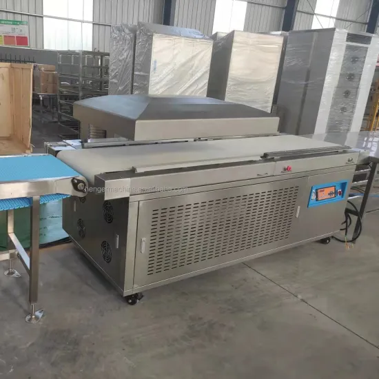 Automatic Conveyor Vacuum Packing Machine for Meat/Food in Plastic Bags - Double Chamber Sealer