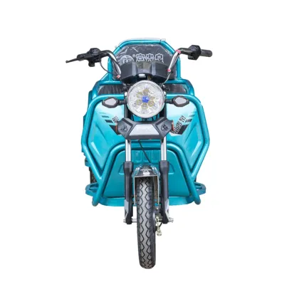Cargo Bike Tricycle: 3 Wheel Electric Folding Electric Tricycle