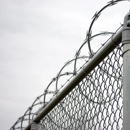 Hot Dipped Galvanized Razor Barbed Wire Airport Fence
