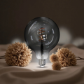 Lâmpada LED economizadora de energia de 4 W estilo retro