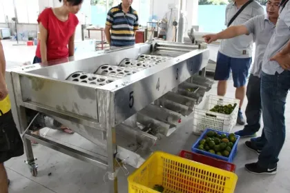 Commercial Longan Fruit Sorter Grader