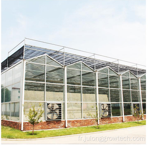 Greenhouse commerciale multi-span Venlo Polycarbonate