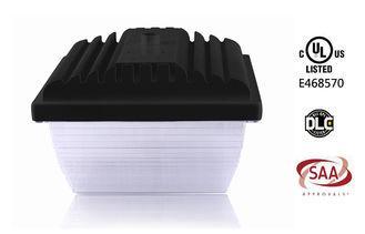 Lighting Angle 160 Induction Led Canopy Lamp , UL , CUL App
