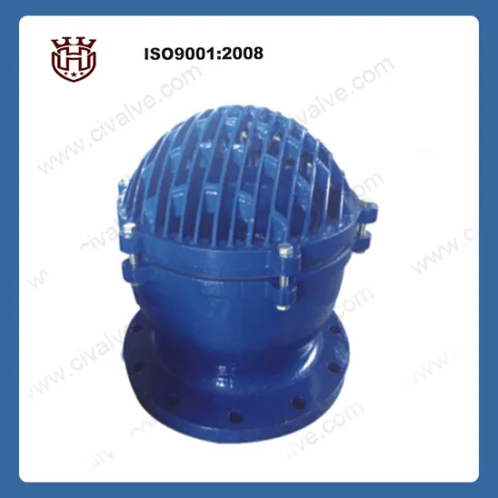 Cast Iron water pump stainless steel screen foot valve