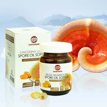 Ganoderma Lucidum Spore Oil Softgel