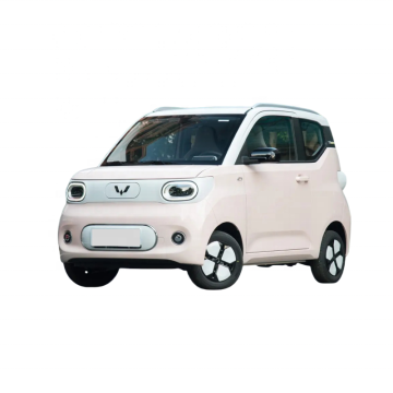 Affordable Second Hand Wuling Mini Electric Car for Adults - 2 Seater