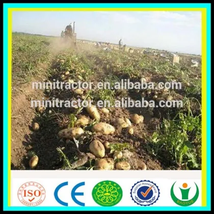 Hebei Brand Haofeng Potato Harvester